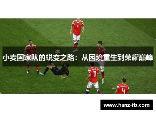 小麦国家队的蜕变之路：从困境重生到荣耀巅峰
